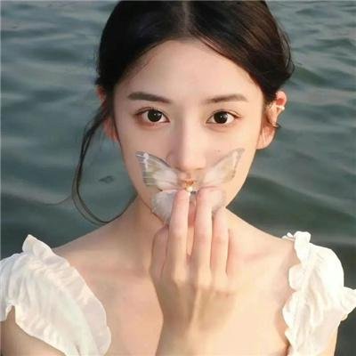 天线宝宝(重启版)